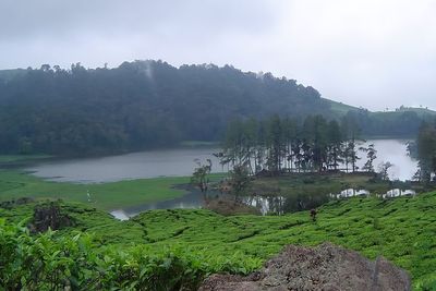 Mitos Batu Cinta di Danau Ini Dipercaya Cepat Datangkan Jodoh, Jomblo Merapat!