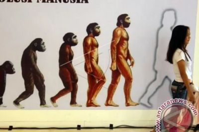 Asal Usul Nenek Moyang Manusia: dari Ikan Purba, Kera, atau Nabi Adam dan Hawa?