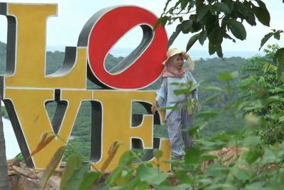Mengagumkan! Pesona Bukit Love, Spot Terbaik Melihat Indahnya Karimun Jawa dari Ketinggian