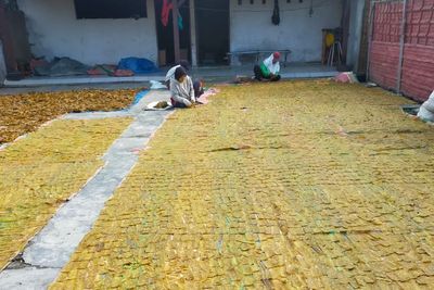 Apa Rahasia Krupuk Tempe Bu Sukini, Sampai Bisa Produksi 1 Ton Per Hari?