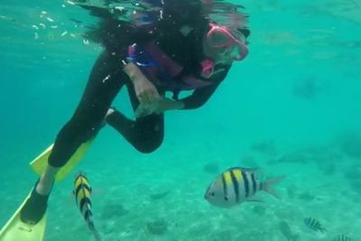 Indahnya Pulau Rubiah, Berjuluk Surga Bawah Laut di Ujung Barat Indonesia