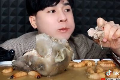 Iyuh! Pria Ini Mukbang Kepala Kambing Dicampur Ulat Sagu, Bagian Lidah Ludes Sekali Hap