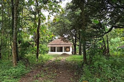 Ponorogo Punya Kampung Mati Mirip Desa Penari, Begini Penampakannya!