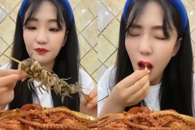 Nekat Makan Kepiting Hidup-Hidup, Bibir Cewek Cantik Ini Dicapit, Netizen: Rasain!