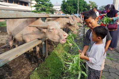 Terungkap! Ini Alasan Orang Rela ke Solo Demi Bertemu Kiai Slamet