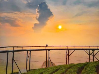 Nimo Highland, Tempat Wisata Terbaru di Pangalengan, View-nya Bikin Adem