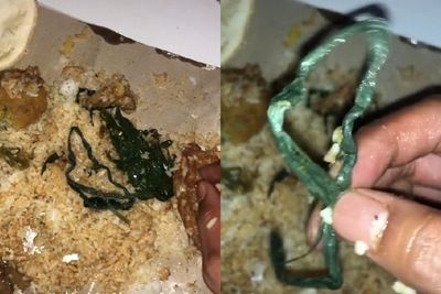Lagi Asyik Makan Nasi Padang, Pria Ini Syok Temukan Tali Rafia: Gue Kira Daun Singkong!