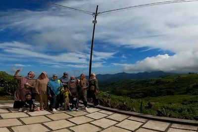 Bangga! Teh Langka dan Terbaik di Dunia Ternyata Ada di Sulawesi