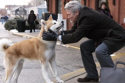 Hachi: A Dog s Tale Jadi Film Bertema Anjing yang Paling Bikin Baper Sepanjang Masa