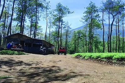 Tempat Ngopi Paling Eksotis di Kota Batu, Dimana Lokasinya?