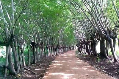 Cantiknya Pulau Gili Genting, Berjuluk Nami Island-nya Madura