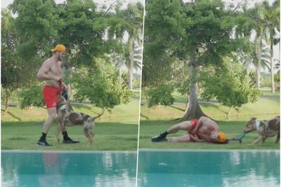 Aduh Ngilu! Area Sensitif Logan Paul Digigit Anjing saat Latihan Bareng