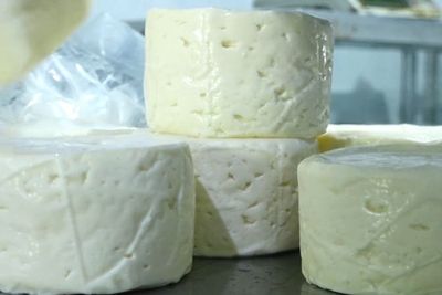 Baru Tahu! Boyolali Ternyata Penghasil Keju, Produknya Sampai Mendunia