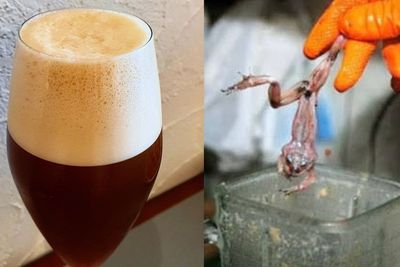 4 Jus Paling Menjijikkan di Dunia, Terbuat dari Plasenta Babi hingga Kodok, Berani Coba?