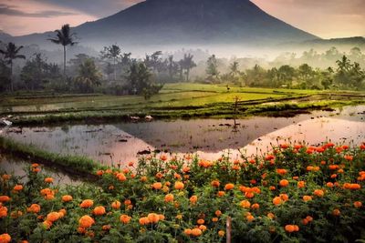 Tak Cuma Pantai, Tempat Wisata yang Satu Ini juga Wajib Kamu Kunjungi saat Liburan ke Bali