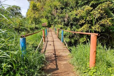Melintasi Jembatan Ini Dipercaya Bikin Hubungan Asmara Langgeng, Mau Coba?