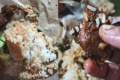 Ngakak, Pria Curhat 2 Kali Beli Nasi Padang Isinya Rendang Lengkuas: Digigit Gak Mempan!