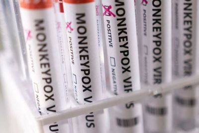 Lawan Cacar Monyet, Uni Eropa Beli 110 Ribu Dosis Vaksin, Disinyalir dari Imvanex Denmark
