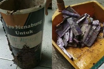 Viral Cewek Nabung untuk Beli Motor tapi Uangnya Malah Dimakan Rayap