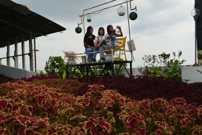 Hidden Gems Baru! Ada Taman Terbuka Hijau di Atas Rooftop, Cocok Buat Hunting Foto