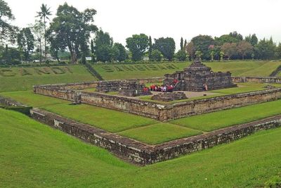 Candi Ini Sempat Hilang, Ketemu Lagi Berkat Cangkul Petani! Begini Kisahnya?
