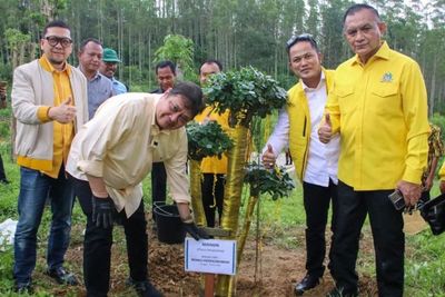 Tanam Pohon di IKN, Airlangga Harap Beringin Mampu Satukan Bangsa Indonesia