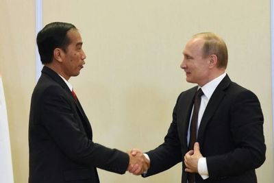 Presiden Jokowi akan Temui Vladimir Putin pada 30 Juni