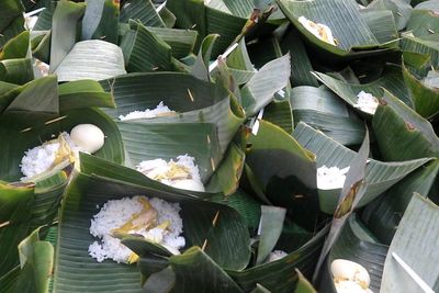 Warga Solo Tiba-tiba Berebut 1.000 Nasi Liwet, Buat Apa?