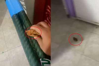 Wkwk! Kesal dengan Ayam Tepung 3 Roda, Pria Ini Banting ke Lantai, Netizen: Fried Stone