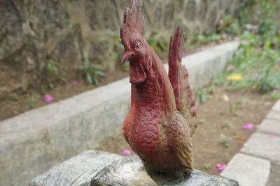 Nyentrik! Di Permakaman Manusia Ini Ada Makam dengan Nisan Babi dan Ayam, Punya Siapa?