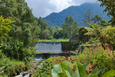 Omah Oyot, Berdiri Pakai Uang Iuran Warga, Kini Jadi Wisata Unggulan Cuannya Rp2,5 Miliar