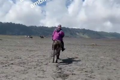 Viral, Wisatawan Diminta Rp 50 Ribu Gegara Rekam Kuda di Gunung Bromo Tanpa Izin