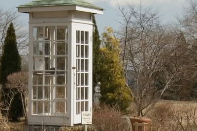 Di Jepang Ada Bilik Telepon yang Bisa Hubungi Orang yang Sudah Meninggal, Benarkah?