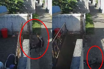 Pecicilan, Viral Bocah Pesepeda Nabrak Rumah Bikin Pagar Besi Ambruk dan Nimpah Motor!