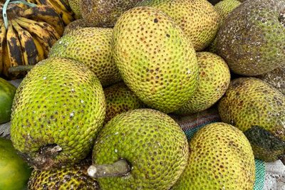 Berbuah Setahun Sekali, Sukun Digadang-gadang Jadi Makanan Masa Depan! Apa Alasannya?