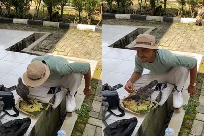 Bukan Makan Bareng Ayang, Pria Ini Santai Makan Nasi Bungkus Sama Ayam