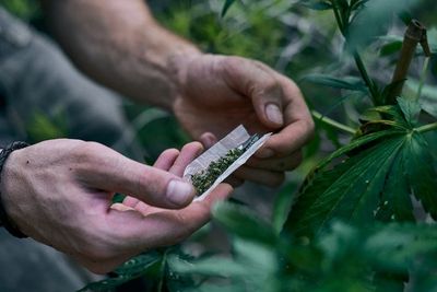 Edarkan Ganja di Kampus, Mahasiswa Tingkat Akhir di Bekasi Diringkus Polisi