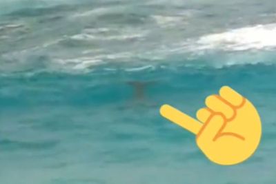 Viral Video Warga Heboh Rekam Makhluk Mirip Putri Duyung di Laut Ambon