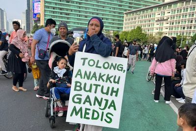Prof Zubairi: Ganja Medis Bisa Jadi Alternatif, Tapi Bukan Obat Primer Sembuhkan Penyakit