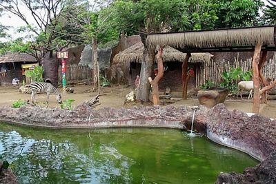 Kaget! Baru Tahu Ada Kampung Afrika di Kota Batu, di Sini Lokasinya