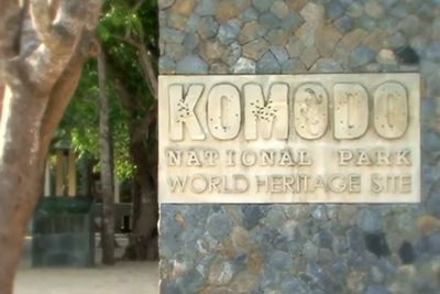 Tiket Masuk TN Komodo Naik Rp 3,75 Juta Per Orang, Pelaku Pariwisata Labuhan Bajo Protes