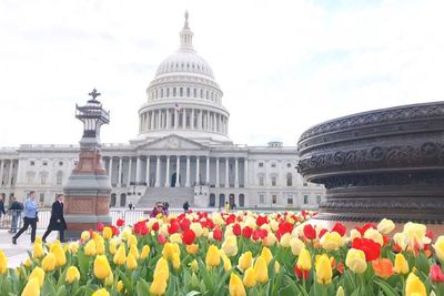OMG! Ingin Tur ke Dalam Gedung US Capitol, WNI Ini Harus Antre Sebulan!