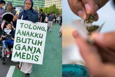 Berbeda dengan Daun Ganja, Pakar Ungkap Khasiat Ganja Medis untuk Terapi dan Cara Kerjanya