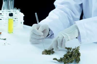 Polri Dukung Legalisasi Ganja Medis di Indonesia, Jika...