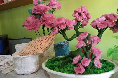 Jangan Dibuang! Ternyata Popok Bekas Bisa Diubah Jadi Bonsai, Sampai Diincar Malaysia 