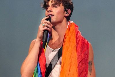 Shawn Mendes Kalungkan Bendera LGBT, Tunjukkan Jati Diri sebagai Seorang Gay?