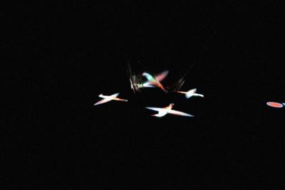 Tipuan Ilusi, Karya Hologram dari CD Bekas Ternyata Bisa Secantik Ini!