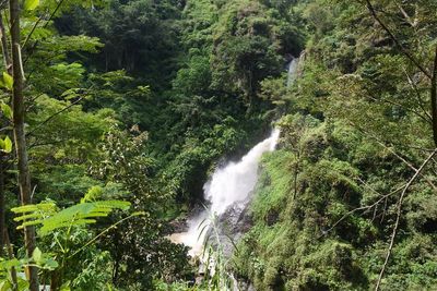 Kejadian Langka, Air Terjun di Ponorogo Ditutup Gara-gara Tercemar Kotoran Sapi! Kok Bisa?