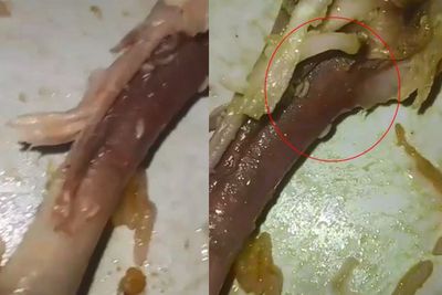 Wadaw! Pria Ini Ngaku Kapok Makan Nasi Berkat, Ternyata Terima Lauk Ayam Penuh Belatung