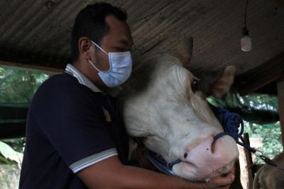 Kemenag Minta Masyarakat Tetap Patuhi Protokol Kesehatan di Hari Raya Idul Adha 2022